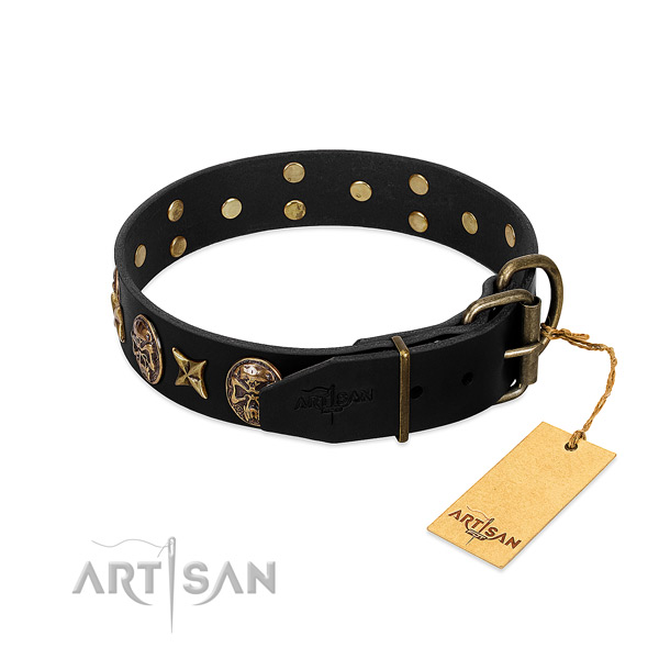 Strong embellishments on full grain leather dog collar for your dog