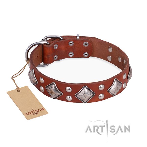 Stylish walking comfortable dog collar with rust resistant fittings