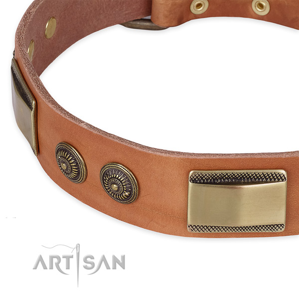Corrosion resistant embellishments on full grain genuine leather dog collar for your pet