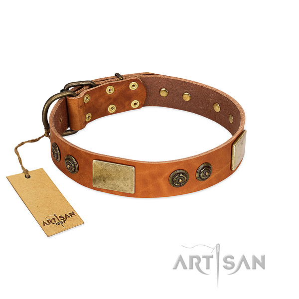 Easy to adjust genuine leather dog collar for fancy walking