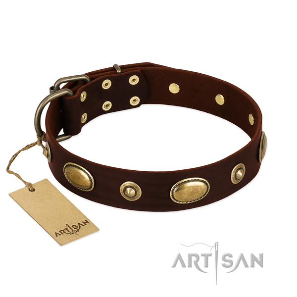 Unusual leather collar for your pet