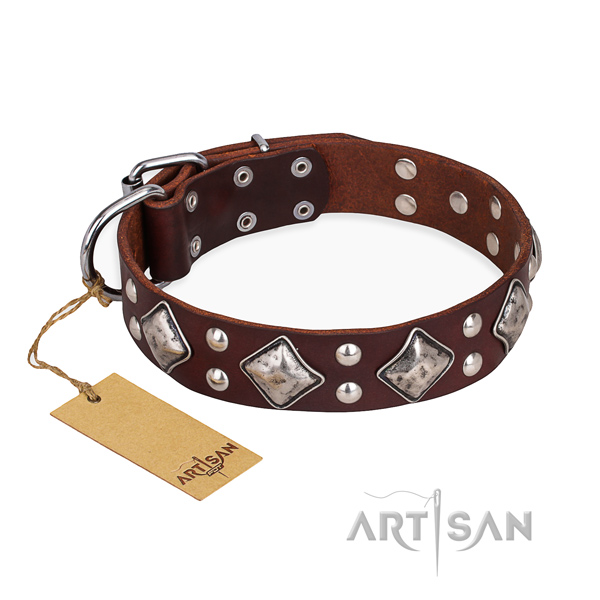 Everyday use fine quality dog collar with rust resistant buckle