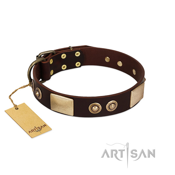 Easy adjustable full grain leather dog collar for stylish walking your dog