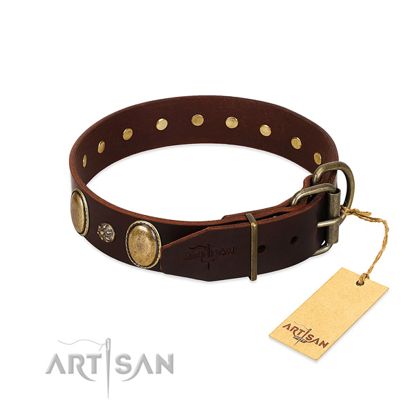 Daily use top notch leather dog collar