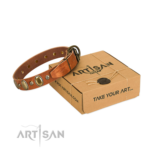 Easy adjustable genuine leather dog collar with rust resistant hardware