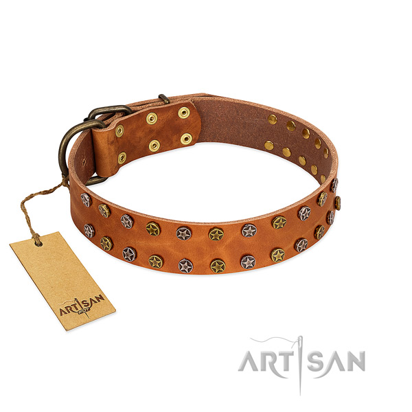 Easy wearing soft full grain natural leather dog collar with embellishments