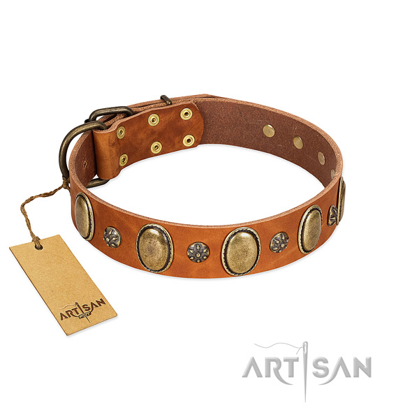 Fancy walking best quality full grain natural leather dog collar with studs