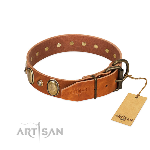Corrosion resistant fittings on full grain genuine leather collar for fancy walking your pet