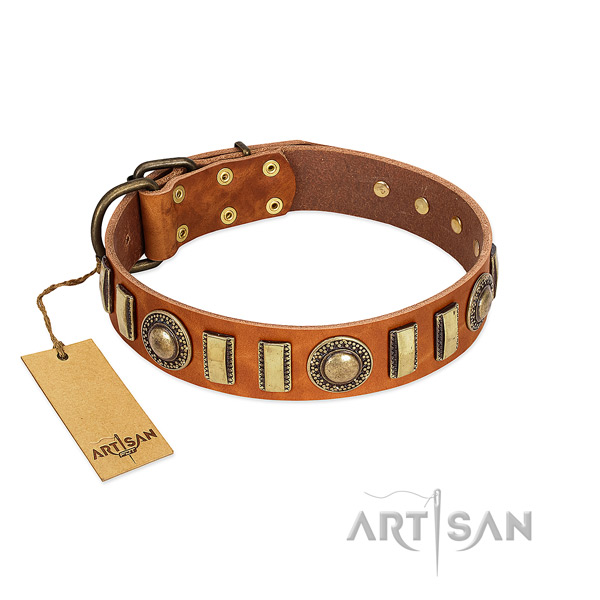 Top rate full grain genuine leather dog collar with strong traditional buckle