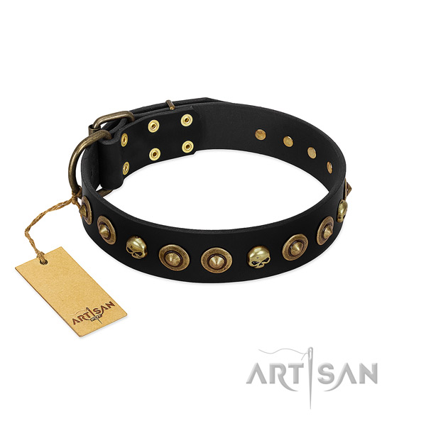 Genuine leather collar with top notch studs for your dog