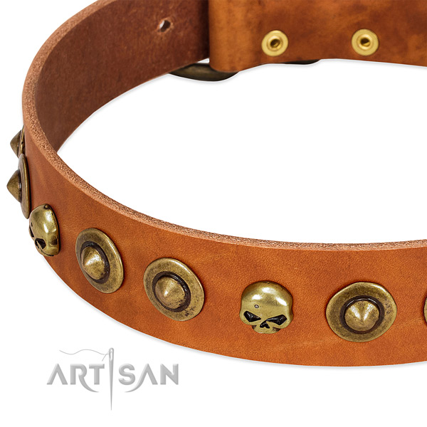 Extraordinary decorations on leather collar for your doggie