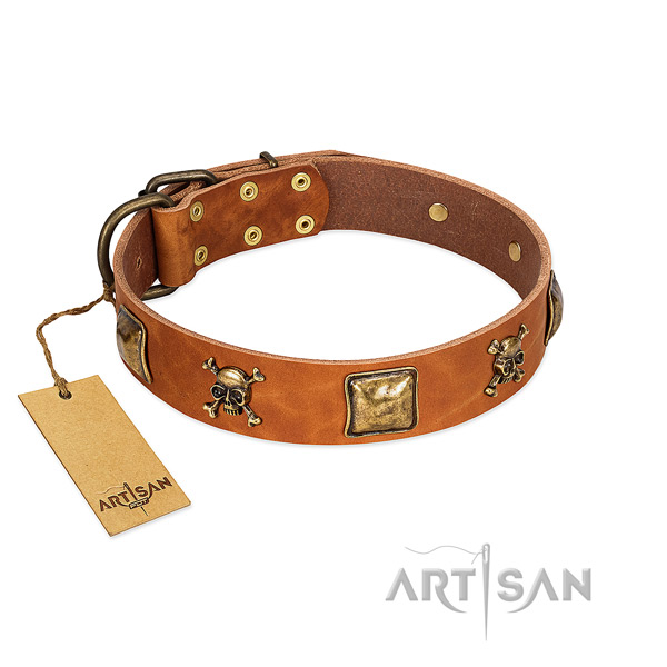 Designer full grain natural leather dog collar with corrosion resistant decorations