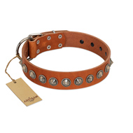 "Silver Spike" Handmade FDT Artisan Tan Leather German Shepherd Collar with Old Silver-Like Spikes  "Silver Spike" Handmade FDT Artisan Tan Leather German Shepherd Collar with Old Silver-Like Spikes