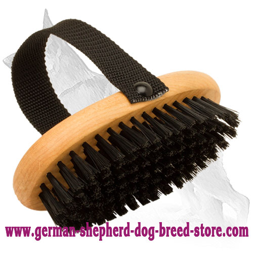 All Coat Types Daily Grooming Bristle Brush : German Shepherd Breed: Dog  harness, Muzzle, Dog collar, Dog leash