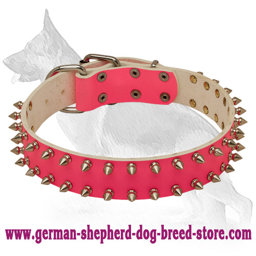 kate spade dog collar and leash