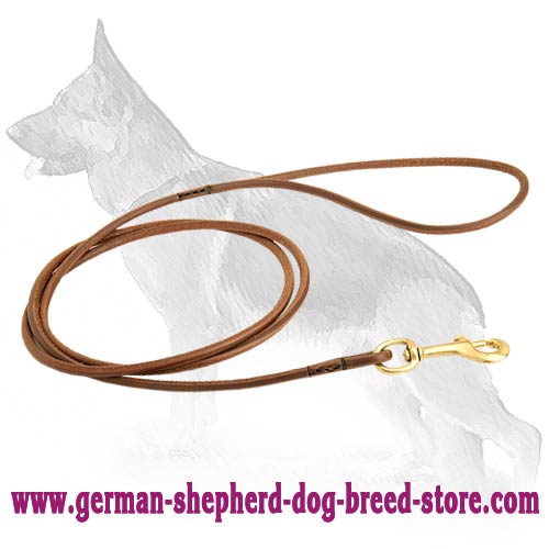 Best leash for 2024 a german shepherd