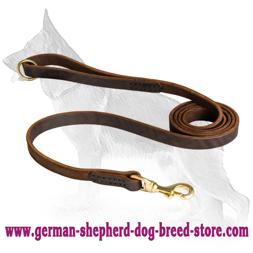 Leather leash clearance store