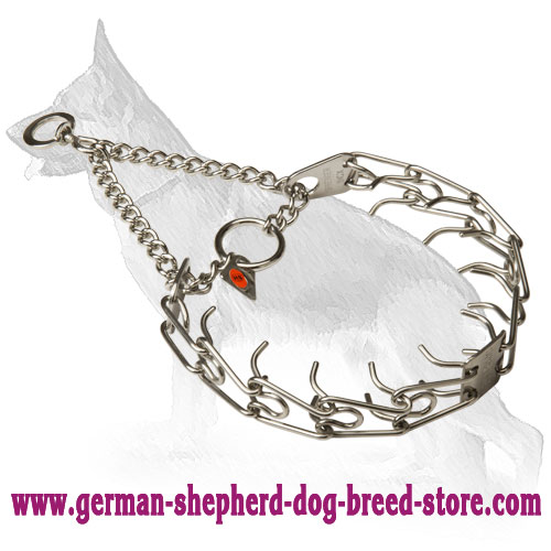 German prong dog fashion collar