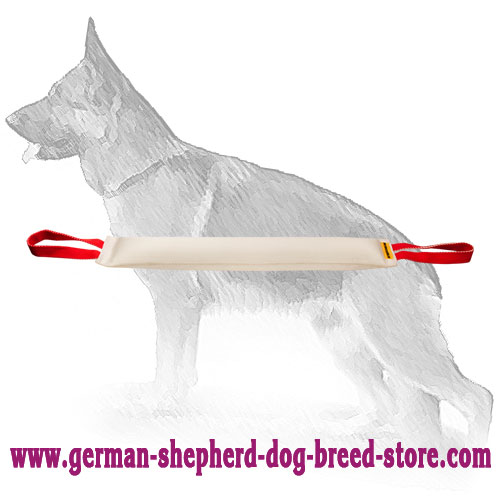 https://www.german-shepherd-dog-breed-store.com/images/large/Huge-German-Shepherd-Tug-Fire-Hose-TE54_LRG.jpg