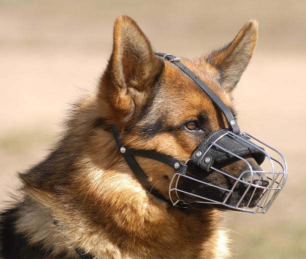 Best muzzle for german 2024 shepherd